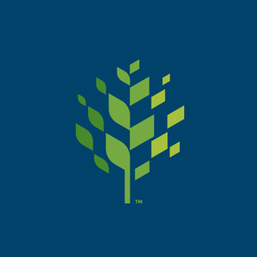 Raleigh Television Network