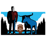 City of Bemidji, MN